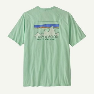 Patagonia 73 Skyline Organic Tee rinsed green
