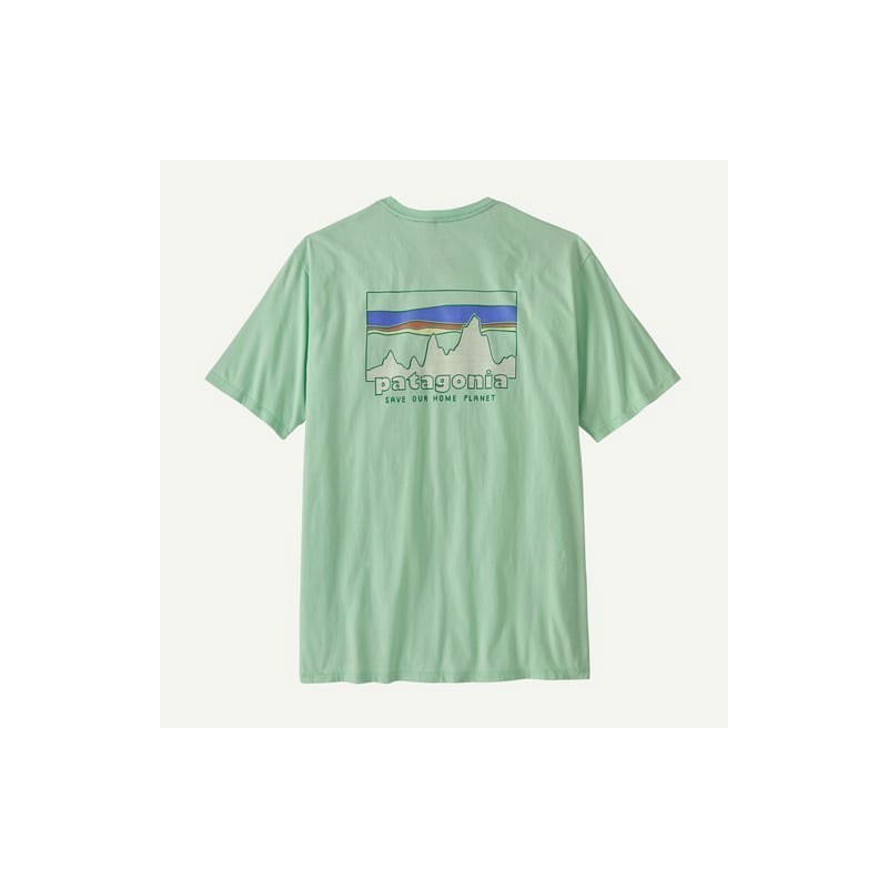 Patagonia 73 Skyline Organic Tee rinsed green