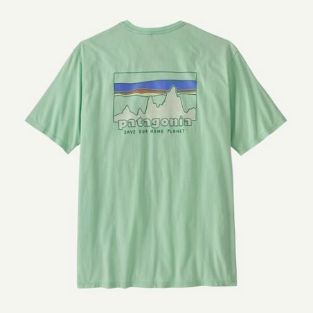 Patagonia 73 Skyline Organic Tee rinsed green