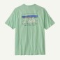 Patagonia 73 Skyline Organic Tee rinsed green