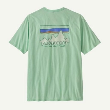 Patagonia 73 Skyline Organic Tee rinsed green