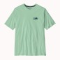 Patagonia 73 Skyline Organic Tee rinsed green