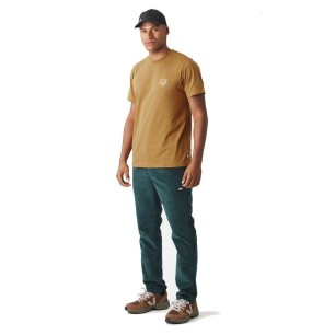 Picture Adak Tee bronze brown