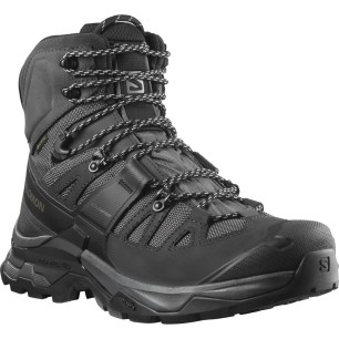 Salomon Quest 4 GTX magnet / black / quarry
