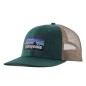 Patagonia P-6 Logo Trucker Hat cascade green