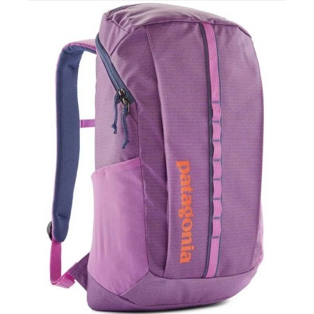Patagonia Black Hole Pack 25L brisk purple
