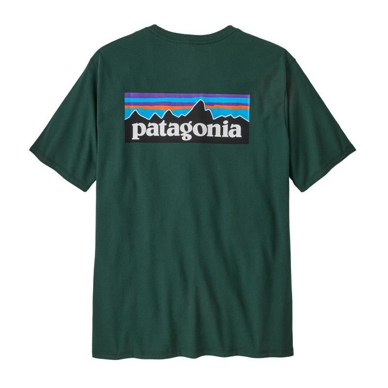 Patagonia P-6 Logo Responsibili Tee cascade green