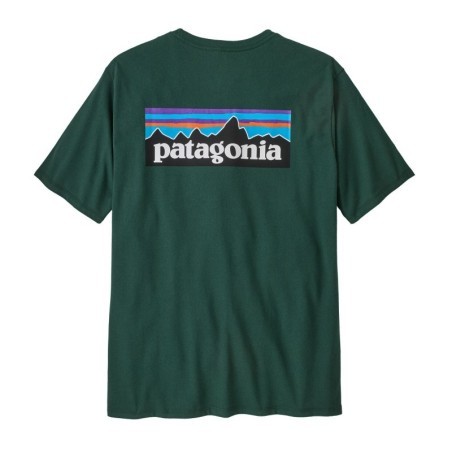 Patagonia P-6 Logo Responsibili Tee cascade green