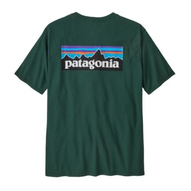 Patagonia P-6 Logo Responsibili Tee cascade green