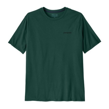 Patagonia P-6 Logo Responsibili Tee cascade green