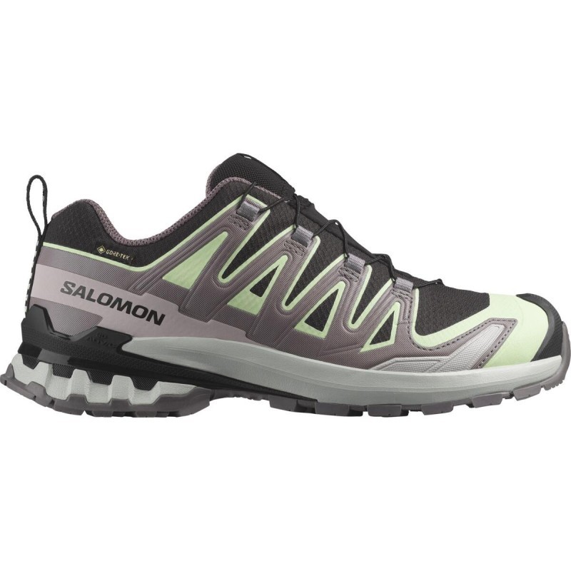 Salomon XA PRO 3D V9 GTX Femme black/patina green/grey violet