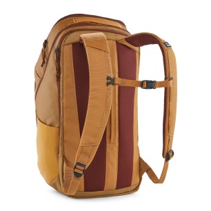 Patagonia Black Hole Pack 32L talon gold