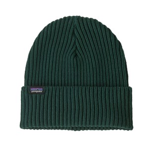 Patagonia Fishermans Rolled Beanie cascade green