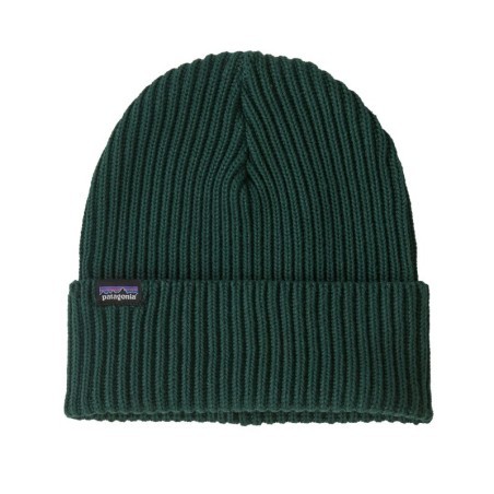 Patagonia Fishermans Rolled Beanie cascade green