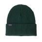Patagonia Fishermans Rolled Beanie cascade green
