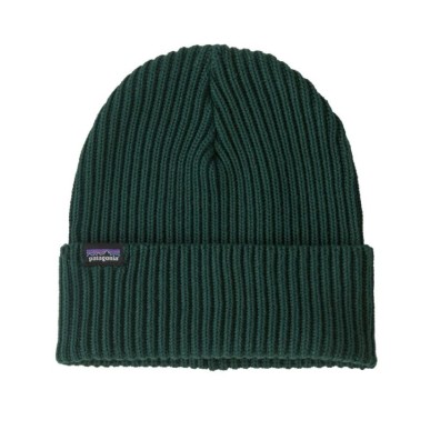 Patagonia Fishermans Rolled Beanie cascade green