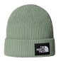 The North Face Salty Lined Beanie slate moss