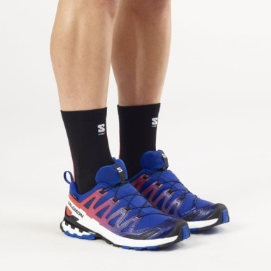 Salomon XA Pro 3D V9 GTX EQUIPE surf the web / fiery red / white