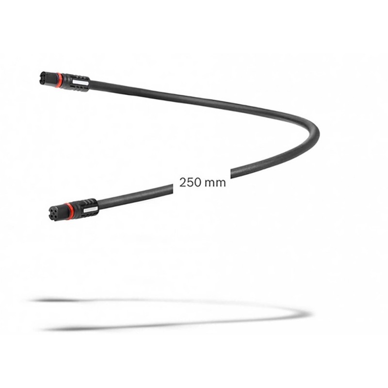 Câble d'affichage BOSCH 250 mm (BCH3611_250)