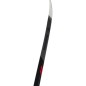 Rossignol Delta Sport R skin + Fixations