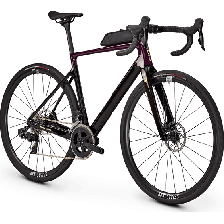 FOCUS PARALANE 8.8 Dark violet