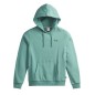 Picture Sereen Hoodie Femme sea pine