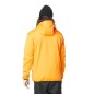 Picture Park Tech Hoodie carrot
