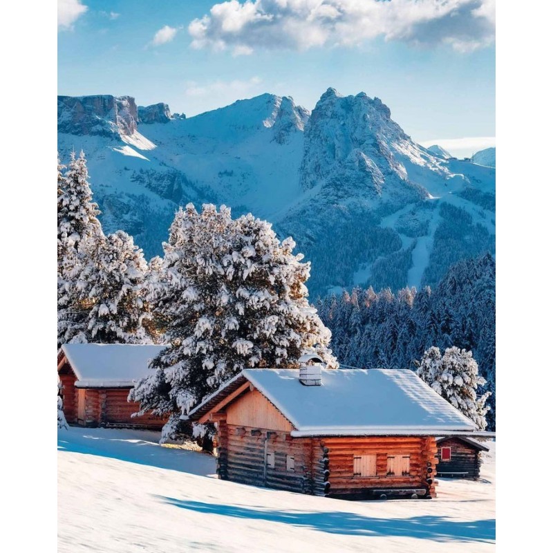 Boxer Pull in Fashion 2 Crans