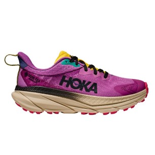 Hoka Challenger ATR 7 GTX Femme superbloom / oatmeal