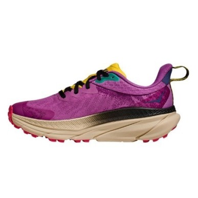 Hoka Challenger ATR 7 GTX Femme superbloom / oatmeal