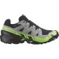 Salomon Speedcross 6 GTX black / alloy / gecko green