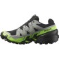 Salomon Speedcross 6 GTX black / alloy / gecko green