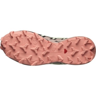 Salomon Speedcross 6 GTX Femme lime cream / mahogany rose / black
