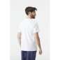 Picture Basement Aster Tee white